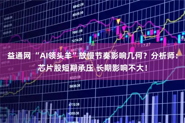 益通网 “AI领头羊”放慢节奏影响几何？分析师：芯片股短期承压 长期影响不大！