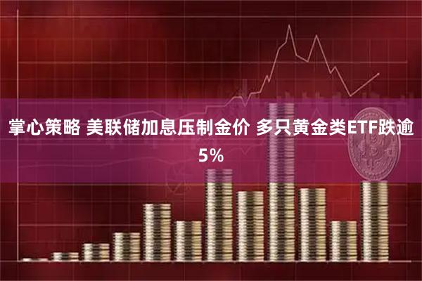 掌心策略 美联储加息压制金价 多只黄金类ETF跌逾5%
