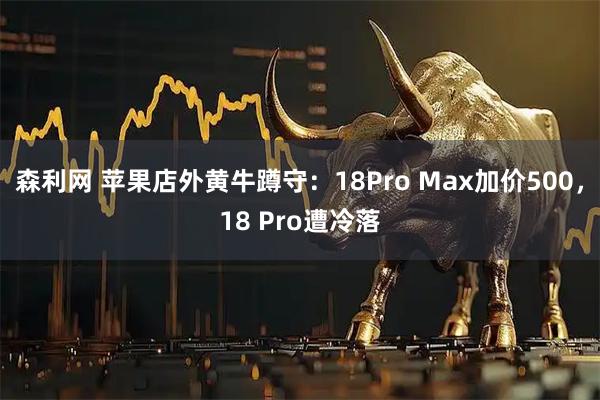 森利网 苹果店外黄牛蹲守：18Pro Max加价500，18 Pro遭冷落