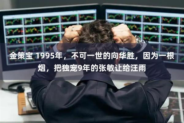 金策宝 1995年，不可一世的向华胜，因为一根烟，把独宠9年的张敏让给汪雨