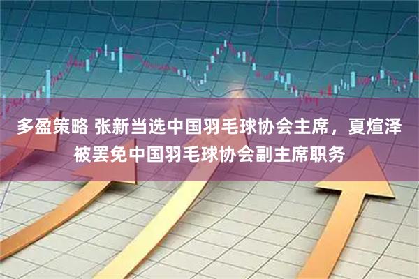 多盈策略 张新当选中国羽毛球协会主席，夏煊泽被罢免中国羽毛球协会副主席职务
