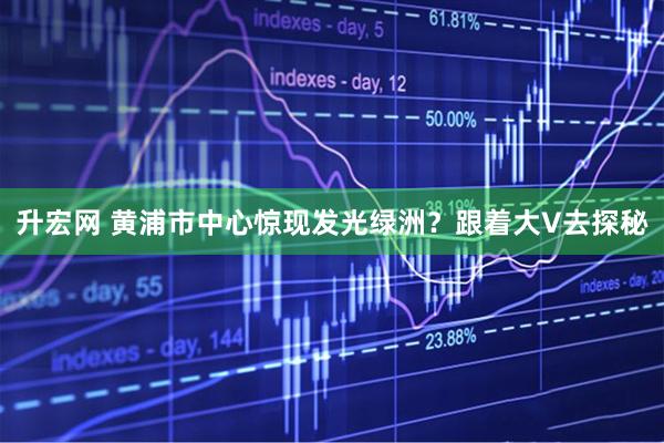 升宏网 黄浦市中心惊现发光绿洲？跟着大V去探秘